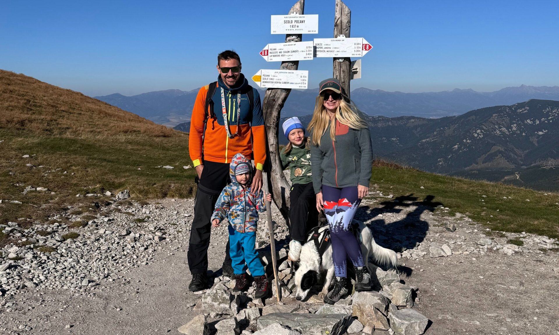 Chalet Fox v lese