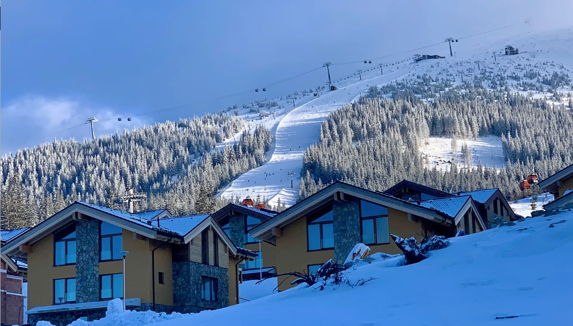 Apartmán Konifer